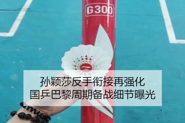 孙颖莎反手衔接再强化 国乒巴黎周期备战细节曝光